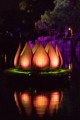 Rivers of Light