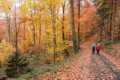 Heidelberg, Germany - November 11