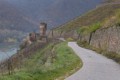 Path leading to Burg Ehrenfels ruins