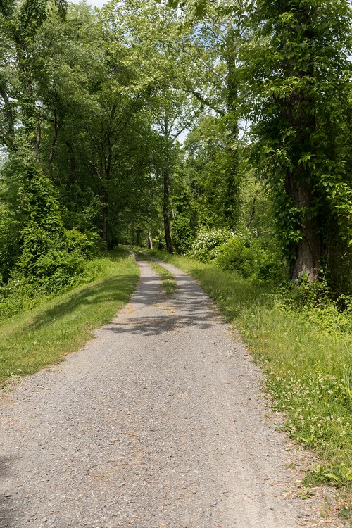 C&O Canal Towpath