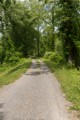 C&O Canal Towpath