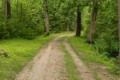 C&O Canal towpath