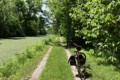 C&O Canal towpath