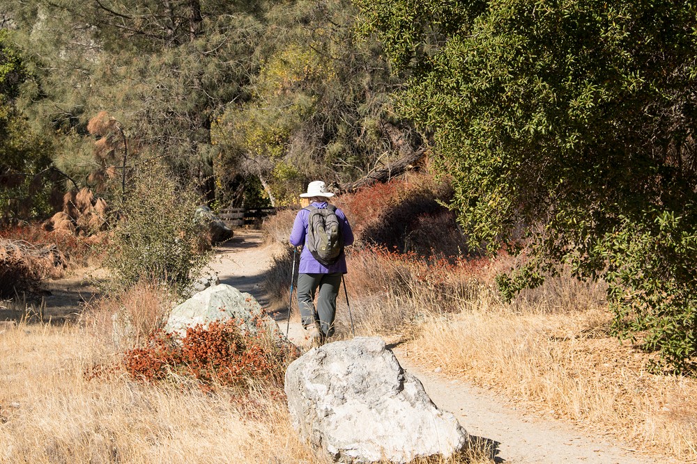 Old Pinnacles Trail