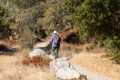 Old Pinnacles Trail