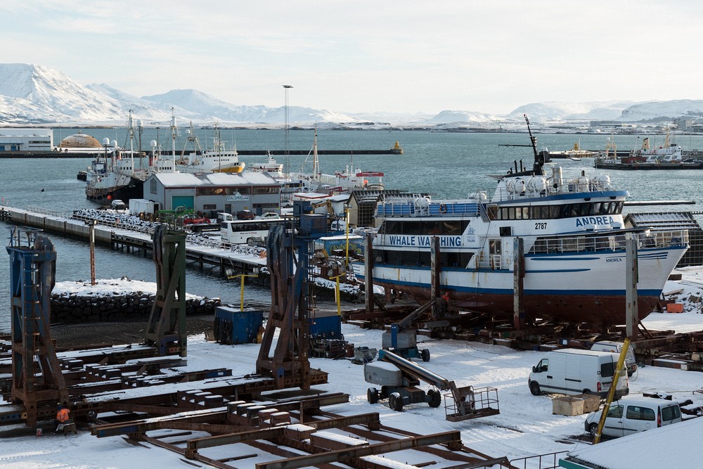 Reykjavik - old harbor