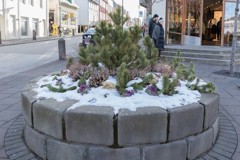Reykjavik street scene