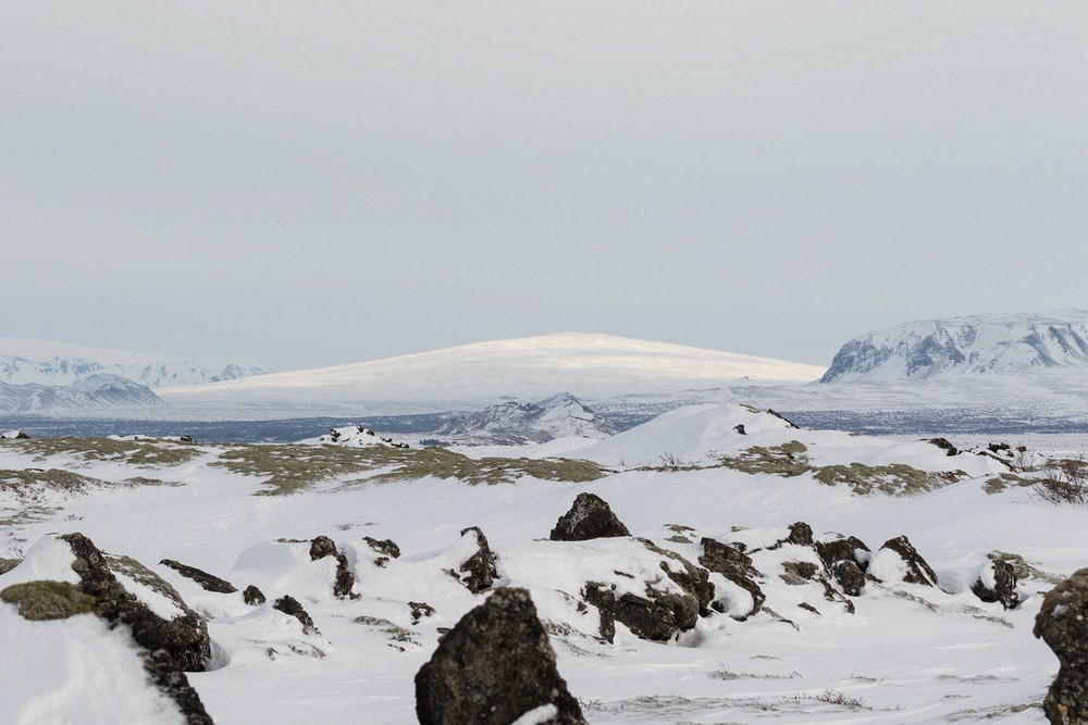 Skjaldbrei�ur (Broad Shield)