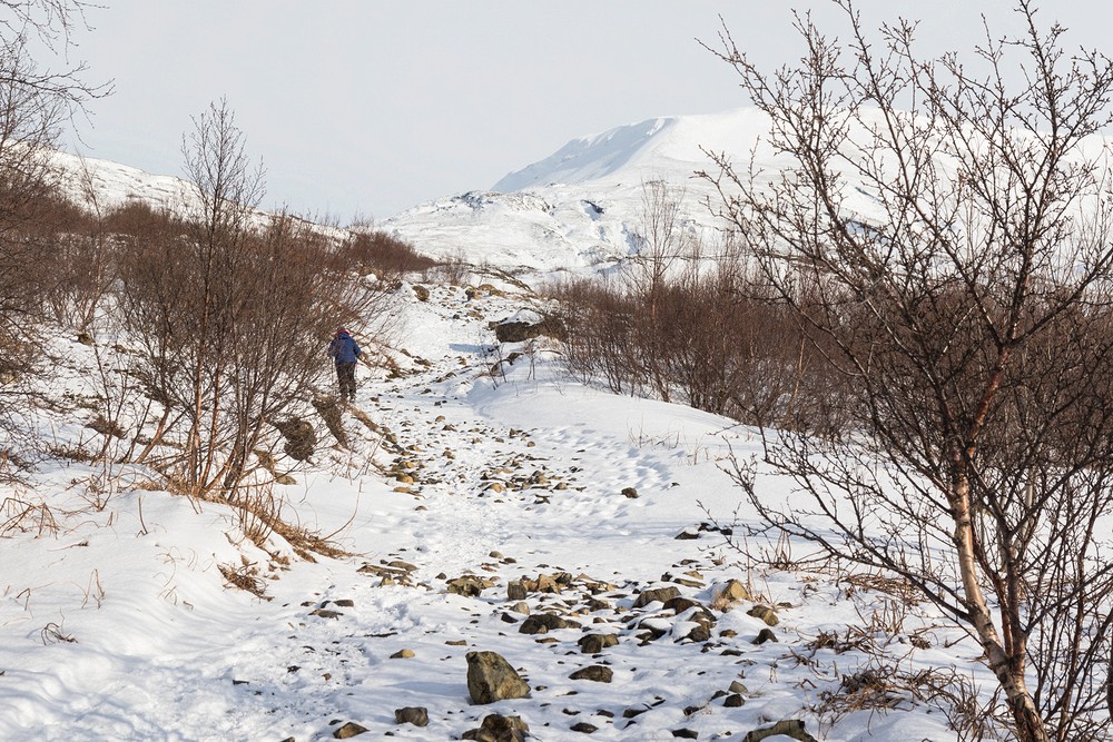Trail to Glymur Falls