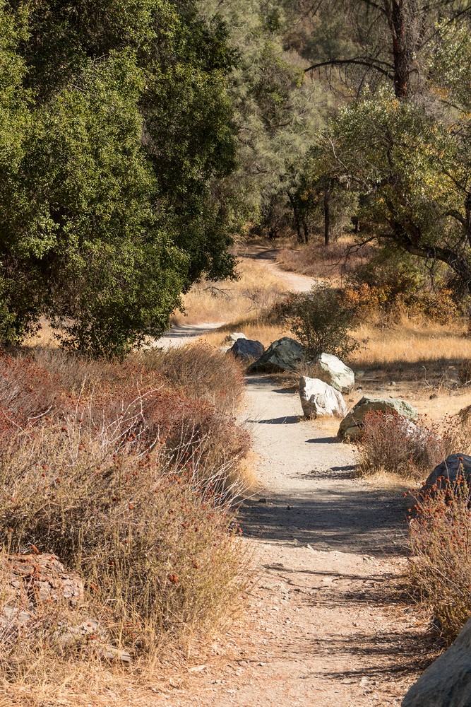 Old Pinnacles Trail