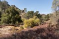 Old Pinnacles Trail