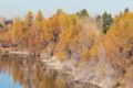 Quarry Lakes Regional Park - December 20, 2020