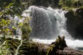 North Umpqua River