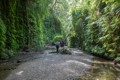 Fern Canyon - Prairie Creek Redwoods State Park, California