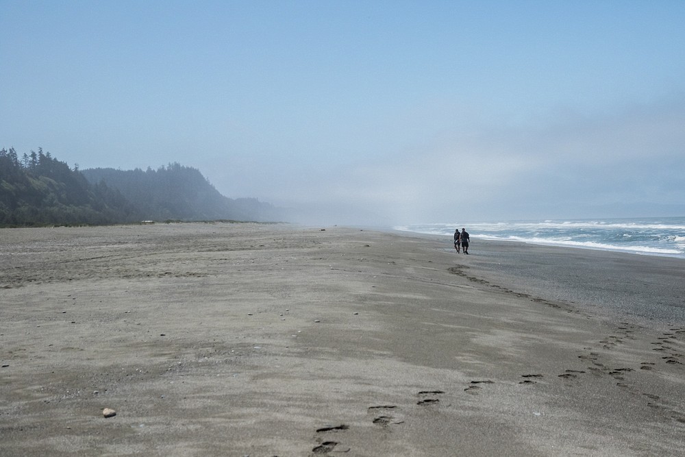 Gold Bluffs Beach - Prairie Creek Redwoods State Park, California