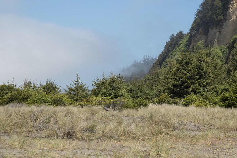 Gold Bluffs Beach - Prairie Creek Redwoods State Park, California