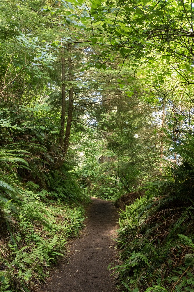 Cape Lookout State Park, Oregon