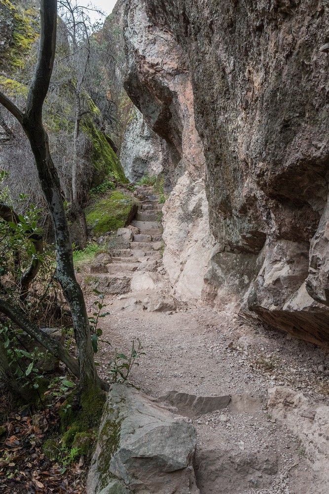 Moses Spring Trail
