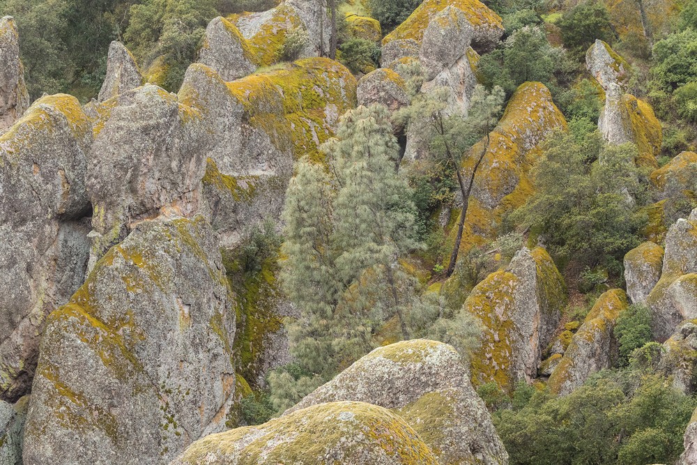 Pinnacles