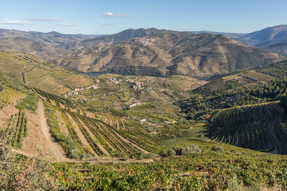 Douro Valley