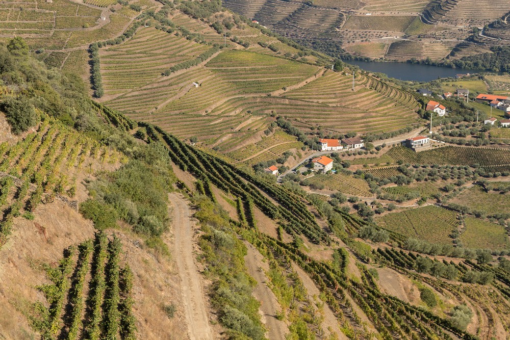 Douro Valley