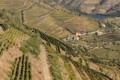Douro Valley