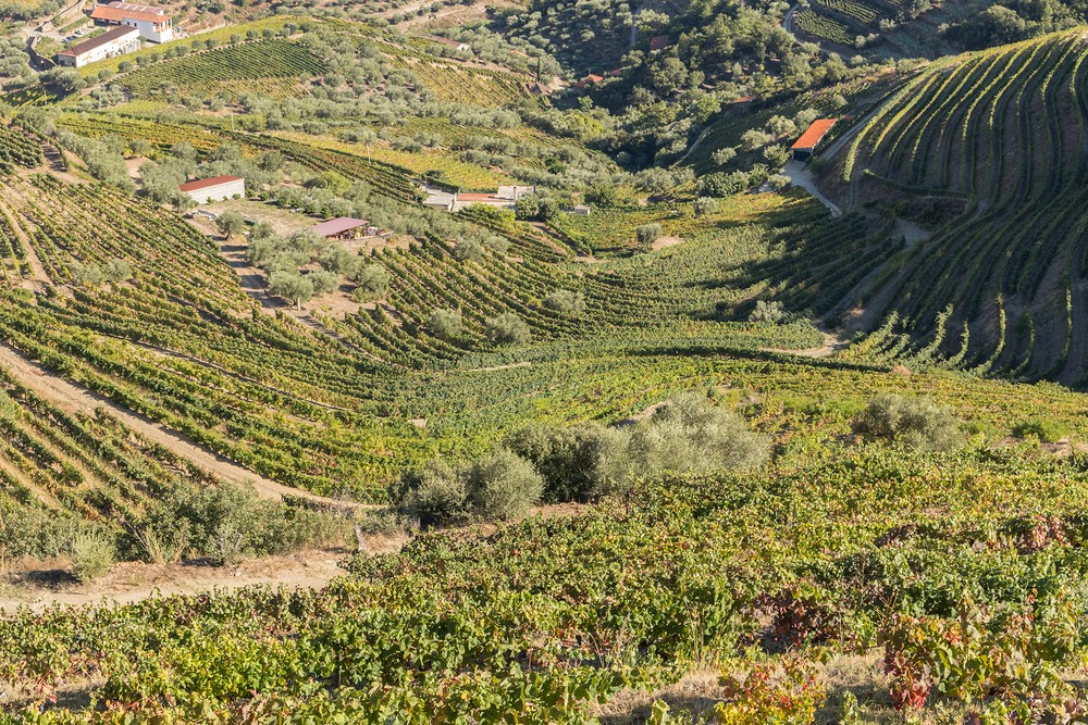 Douro Valley