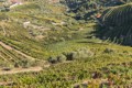 Douro Valley