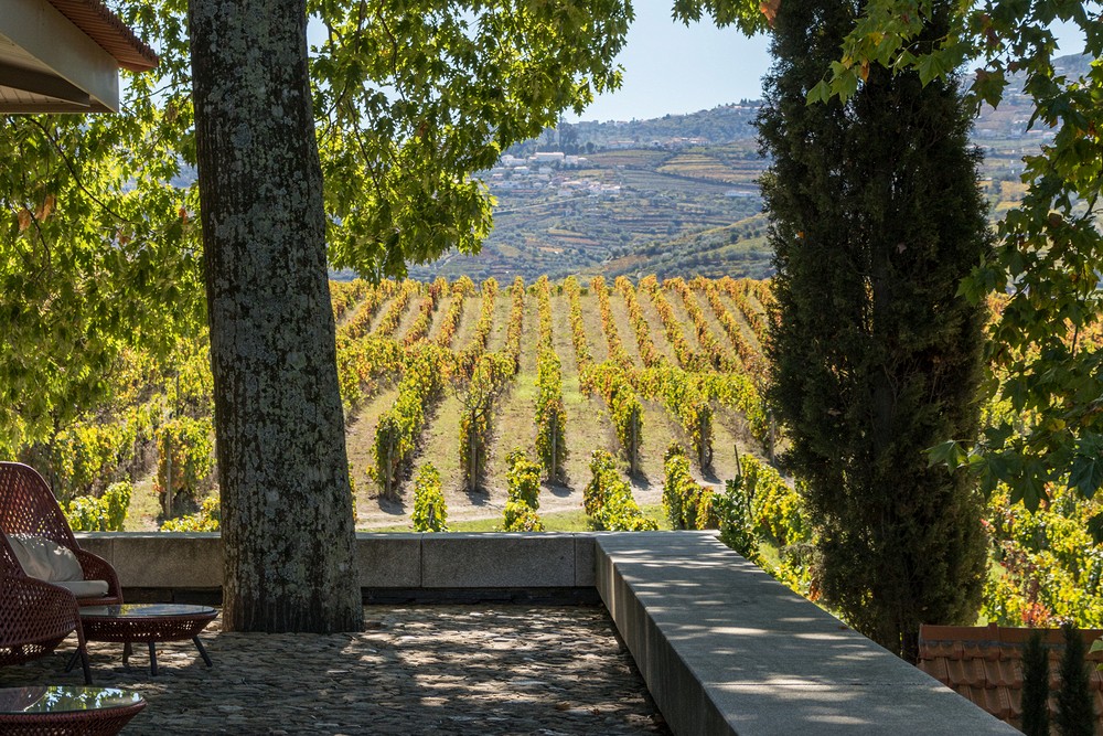 Quinta da Pacheca