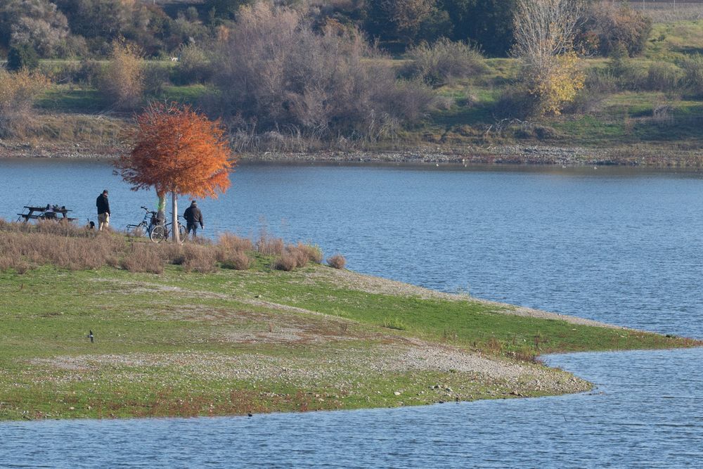 Horseshoe Lake Fishermen