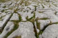 The Burren
