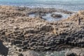 Giant's Causeway