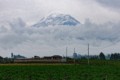 Chimborazo