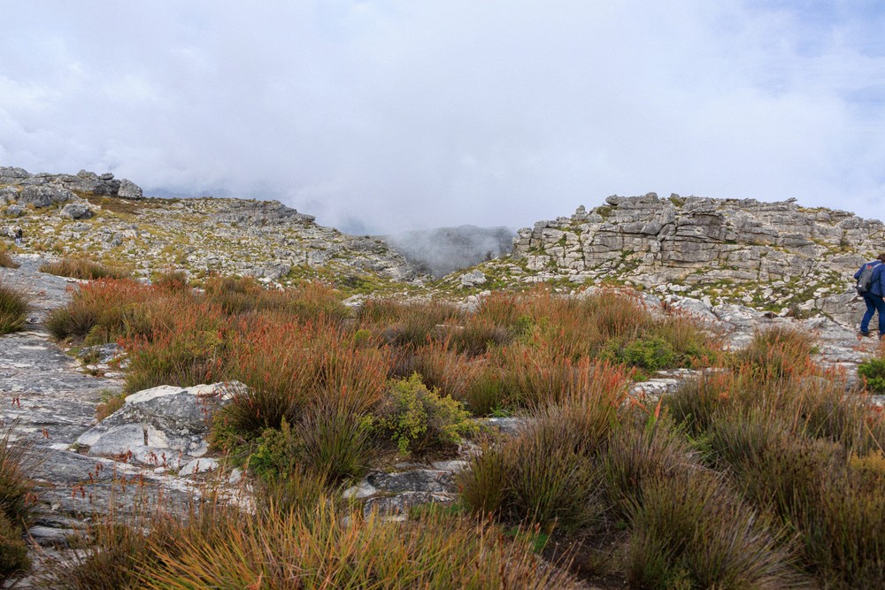 Table Mountain