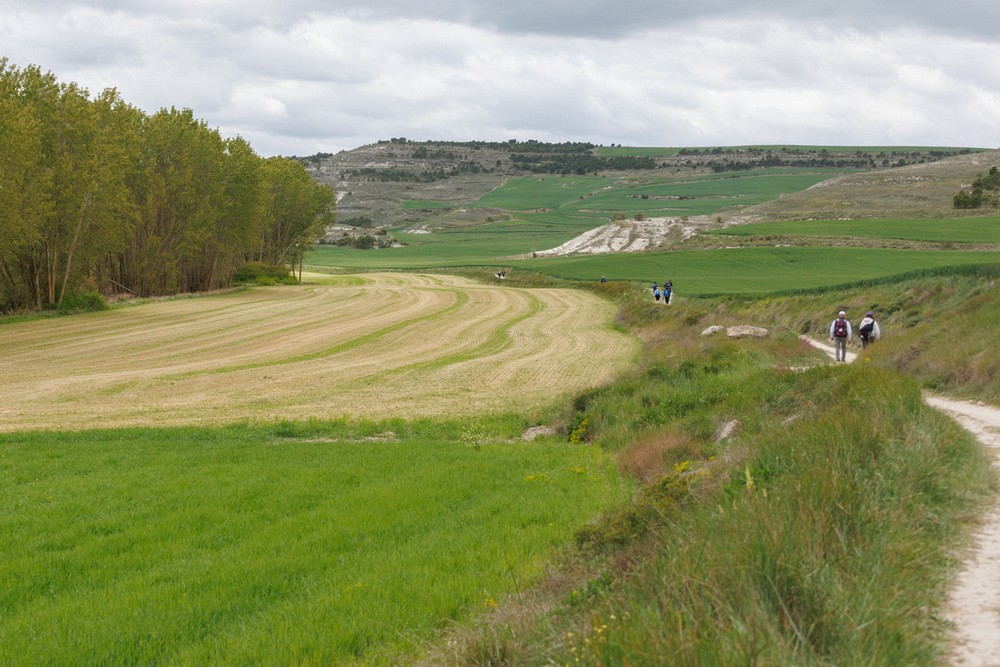 Hontanas, Castilla y Leon