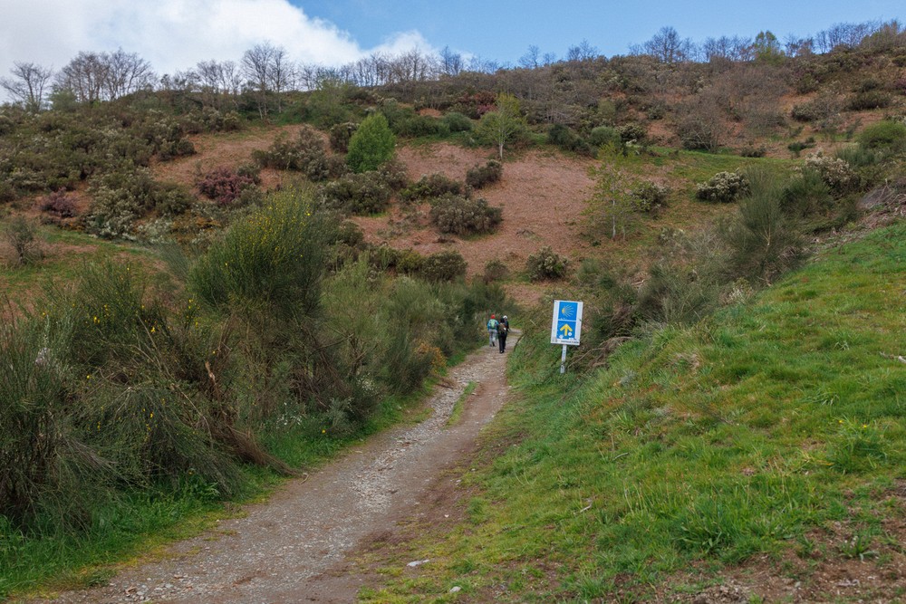 Camino - La Laguna, Castilla y Leon