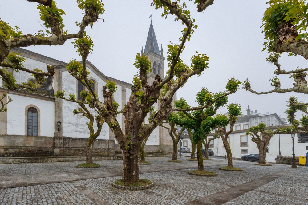 Iglesia Parroquial de Santa Maria - Sarria