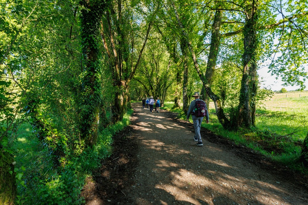 Camino - A Serra, Galicia