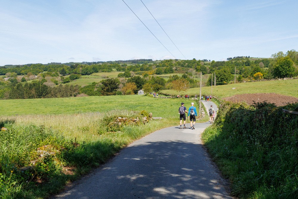 Camino - Morgade, Galicia
