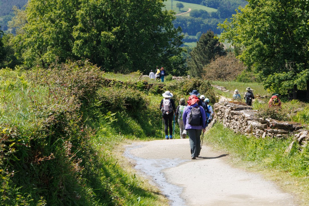 Camino - As Cortes, Galicia