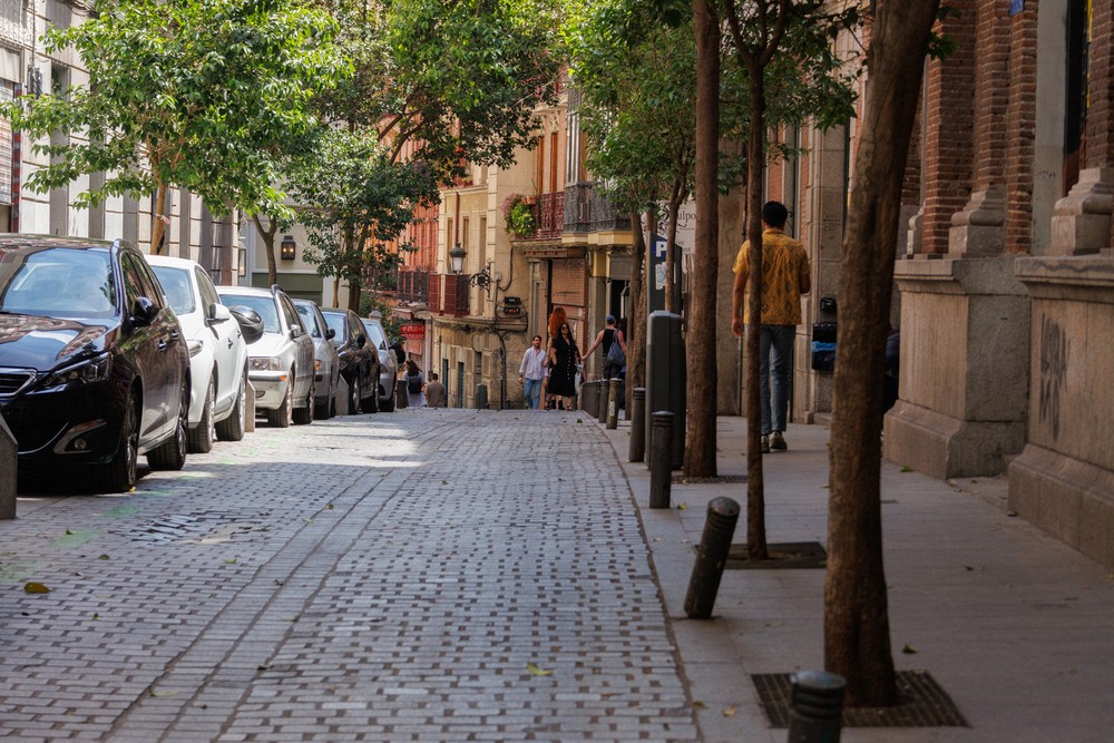 Calle de los Canizares