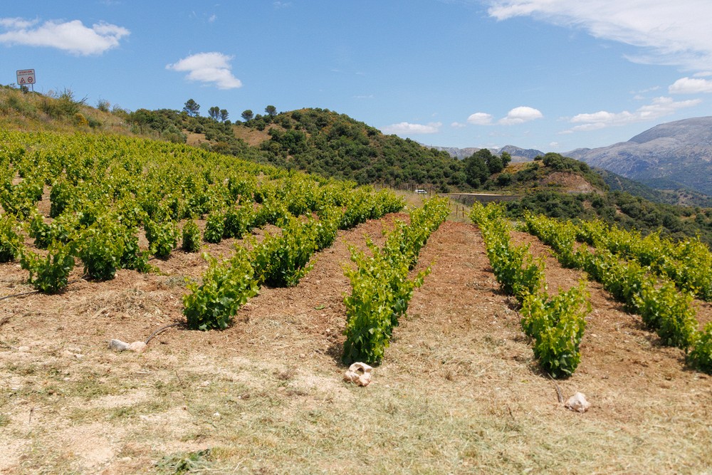 Metros Cundrados - Benalauria