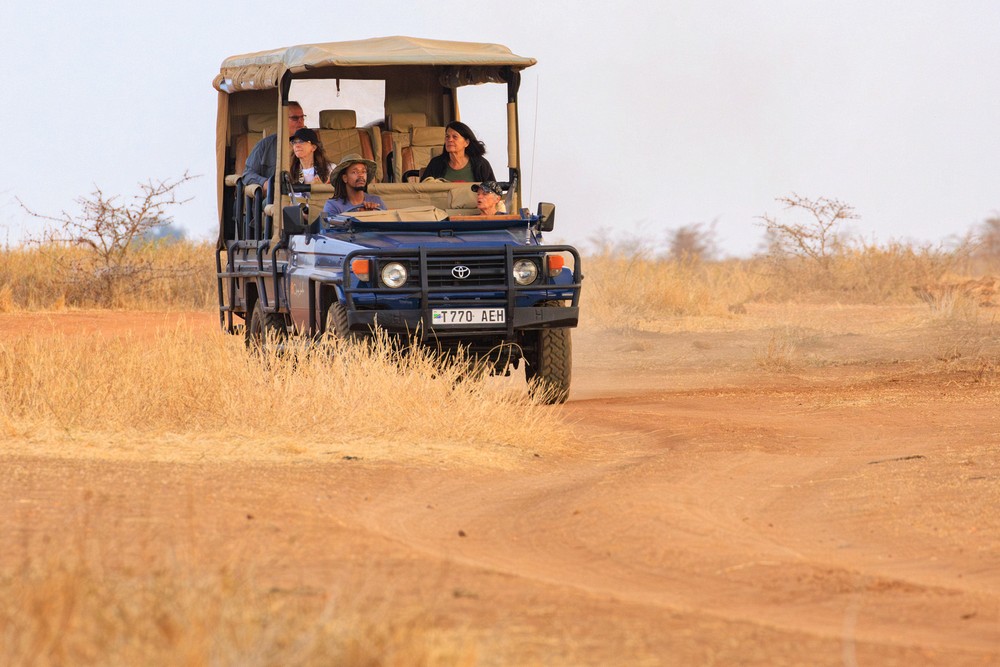 Game drive truck