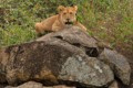 Serengeti National Park - September 30