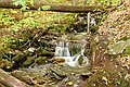 Parker Brook - Pittsfield State Forest