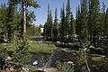 Tuolumne River