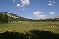 Tuolumne Meadows