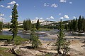 Tuolumne River