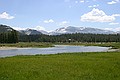 Tuolumne Meadows and Mount Dana