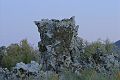 Tufa towers at dusk